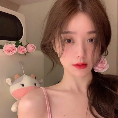 巅峰拍档第二十二季