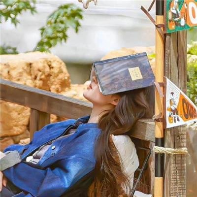 长安侠影之天朝死士